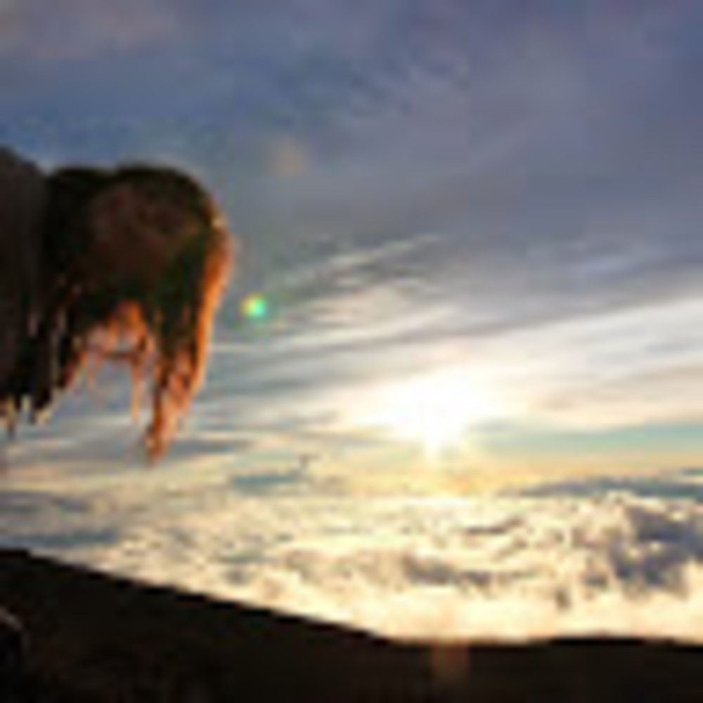 Meet your Posher, Melanie